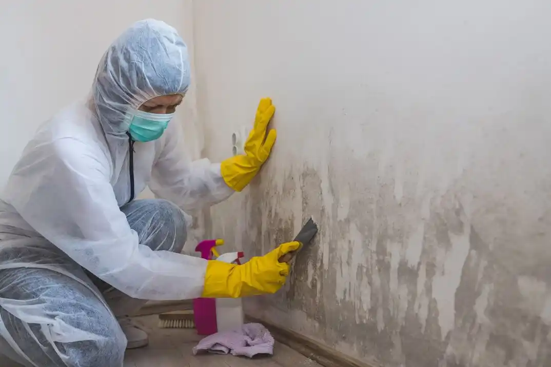 water damage restoration service Morell Park